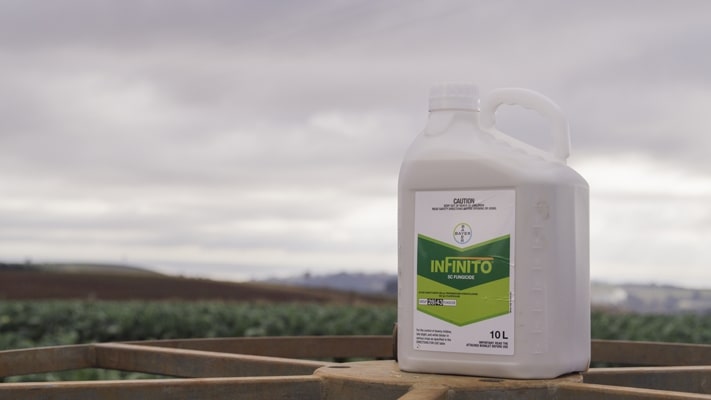 Infinito on farm