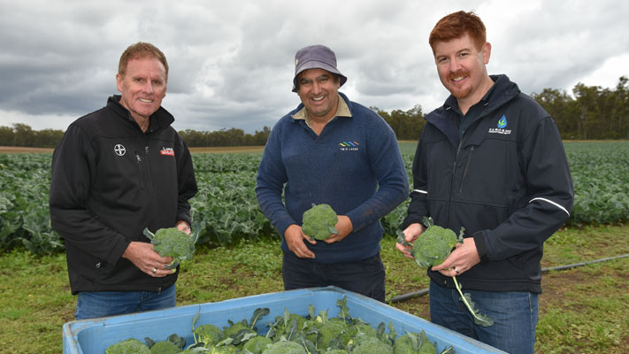 Broccoli grower Brad Ipsen