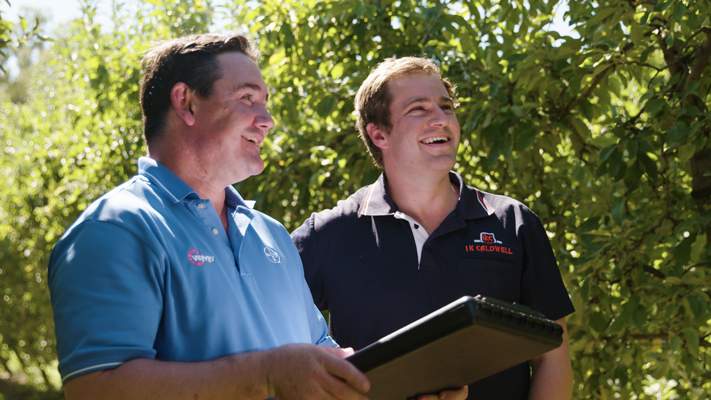 Bayer territory manager and agronomist looking at apple crop