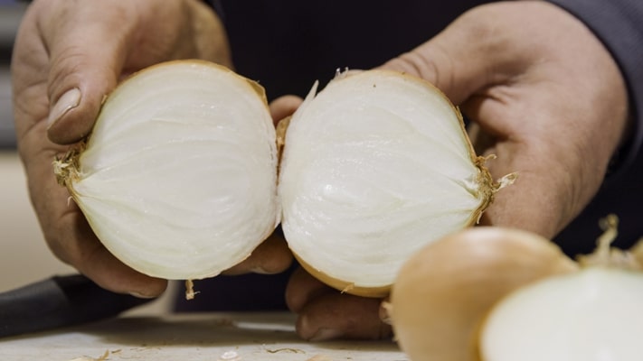 Healthy Onion