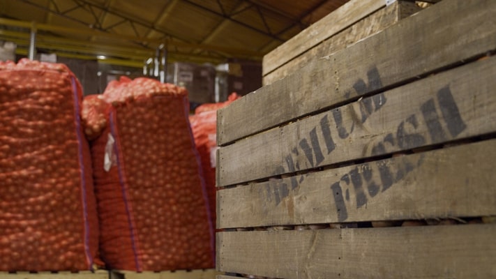 Premium Fresh Onions