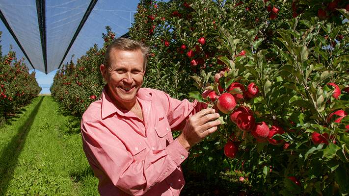 Andrew Hennoste at Moonlight Orchard