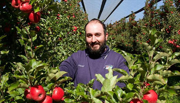 Rodney Rizzato at Moonlight Orchard