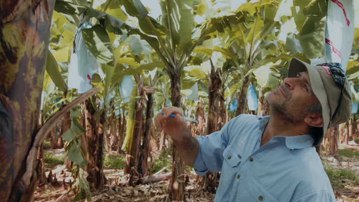 Bayer Market Development Agronomist Nick Matthews