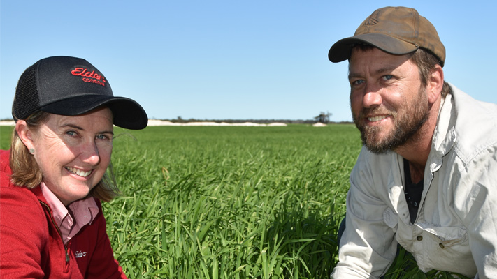 Mateno Complete Herbicide performance in barley crops