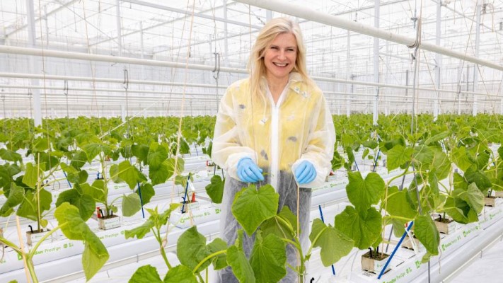 Anne Williams on low carbon breeding