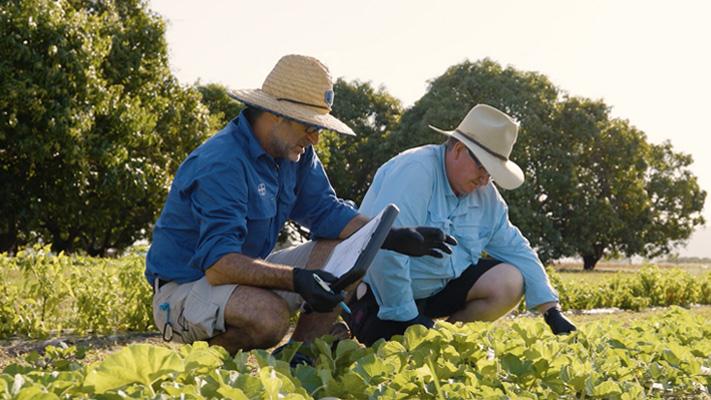 Luna Experience crop shot main