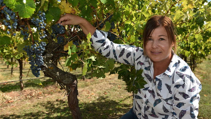 Mandy Mader from Vine Scout consultancy inspects a grape crop