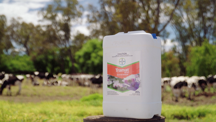 Product Shot - Tramat - Kergunyah South