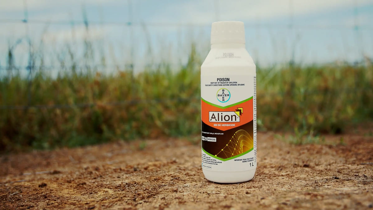 Alion® 500 SC Herbicide by Bayer offers excellent control of key weed species for up to 10 months