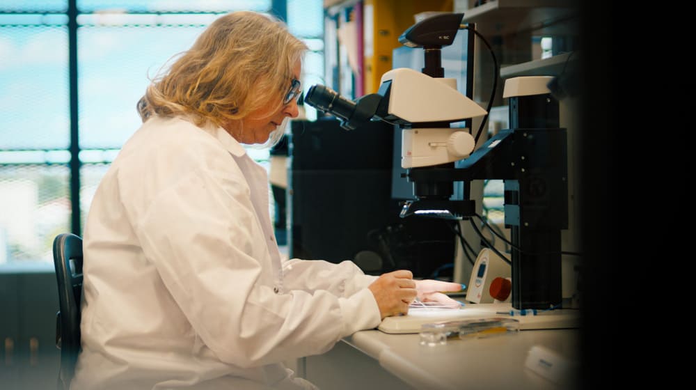 The FASTA team’s groundbreaking research into fruit fly behaviour has been instrumental in protecting Australia’s horticultural exports. 