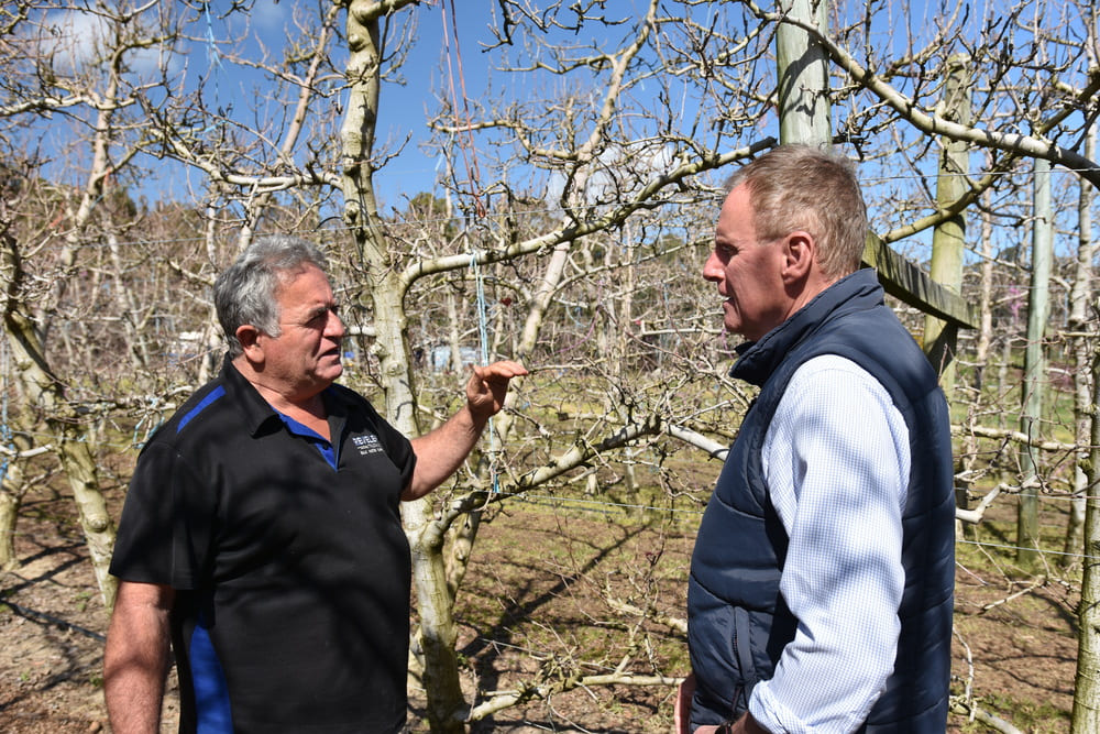Perth Hills fruit grower Tony Trichilo, Jarrahdale, and Bayer Territory Business Manager Ian Cook pictured discussing control of two-spotted mite with the company’s new Interrupt miticide applied in some of Tony’s trellised apple trees last season.