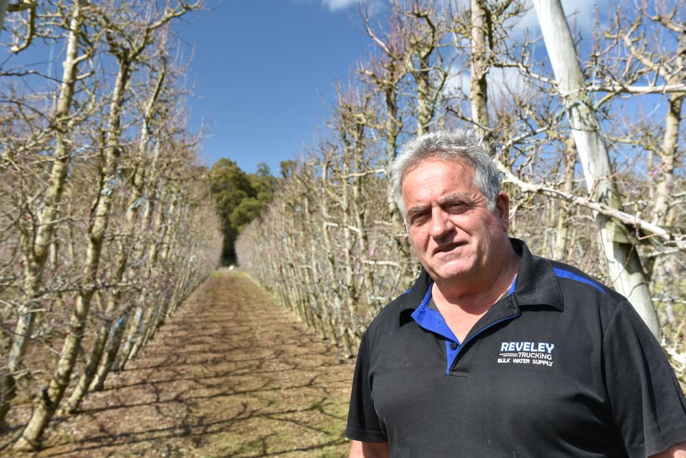 Perth Hills fruit grower Tony Trichilo, Jarrahdale, pictured in some of his trellised apple trees, where the new Interrupt miticide from Bayer was applied against two-spotted mite last season, says it was hard to see anything moving after application and no further spray was required before harvest in May, saving chemical and time.