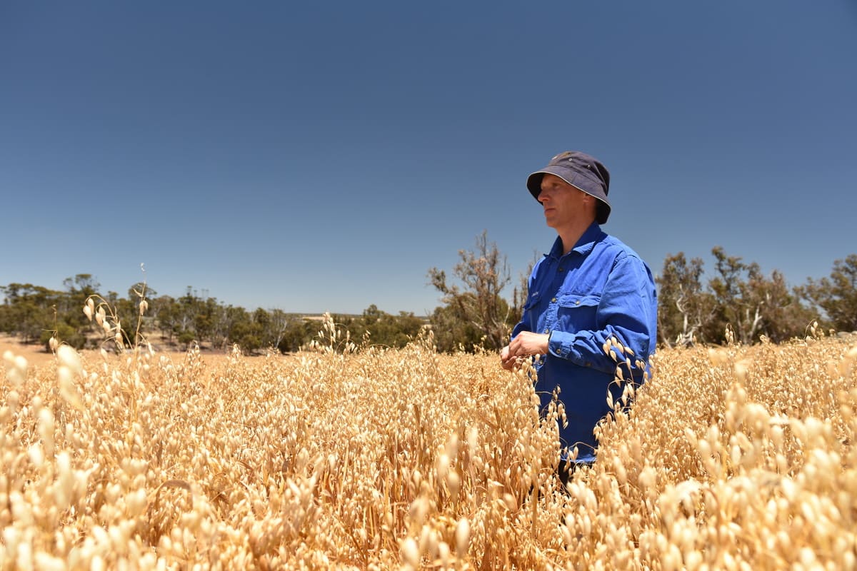 Cropping Manager Duncan Burt