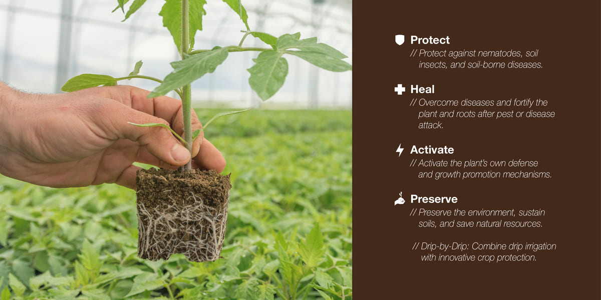 Root@Success Protect Heal Activate Preserve