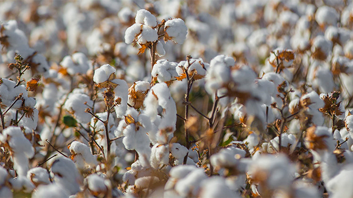 Science Plus People Power The Key To Agriculture's Success