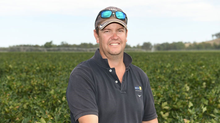 Weed Control And Profitability Pushing Cotton Into New Areas
