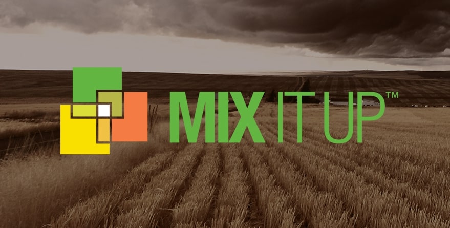Mix It Up