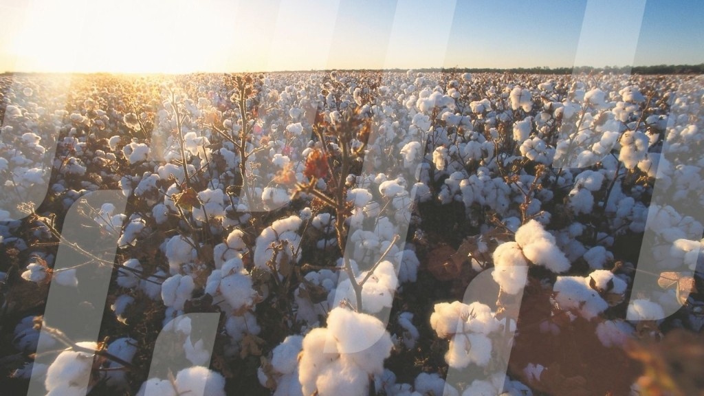 Cotton Choice Calculator – Bayer Australia
